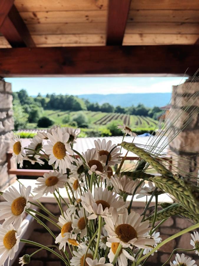 Guesthouse Marija Potpićan Exteriér fotografie